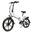 20LVXD30-II bicicletă electrică pentru adulți, baterie 48V 10Ah, roți 20".