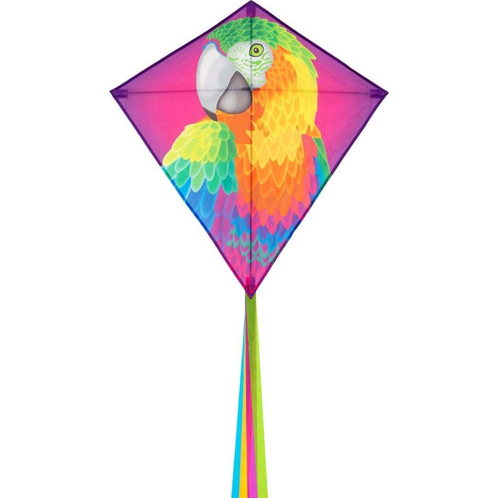 Children's kite HQ Eddy Parrot 100068 Rainbow 68 x 68 cm + 200 cm tail
