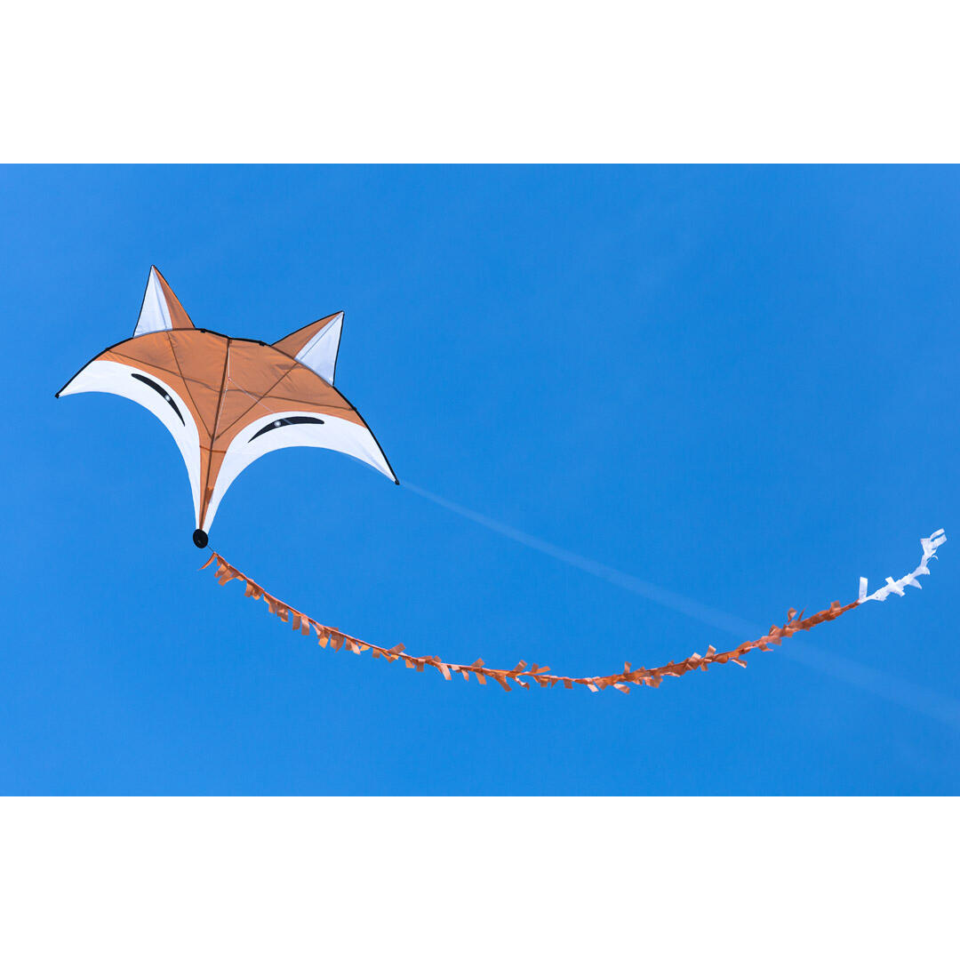 Pipa infantil HQ Fox Kite 105100 Laranja 145 x 110 cm + rabiola de 350 cm 4/5
