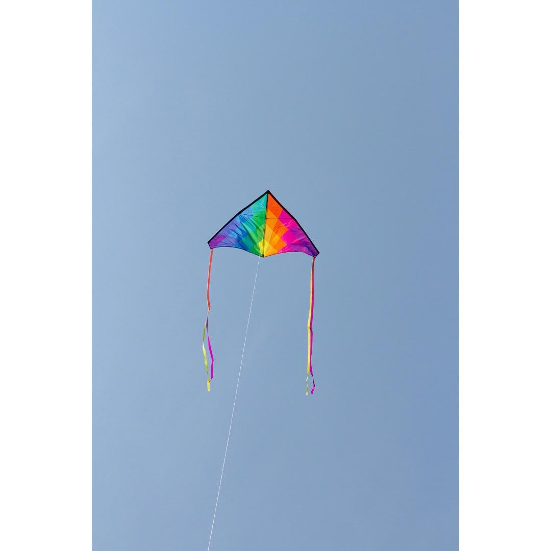 Kindervlieger HQ Delta Rainbow 140 cm 106122 Regenboog 140 x 75 cm 4/6