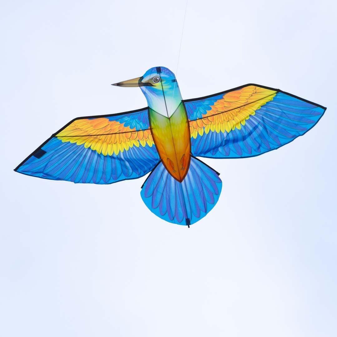 Bird Kite Kingfisher|Eisvogel - Kinderdrachen, 175cm, flugfertig mit 40m Schnur 4/4