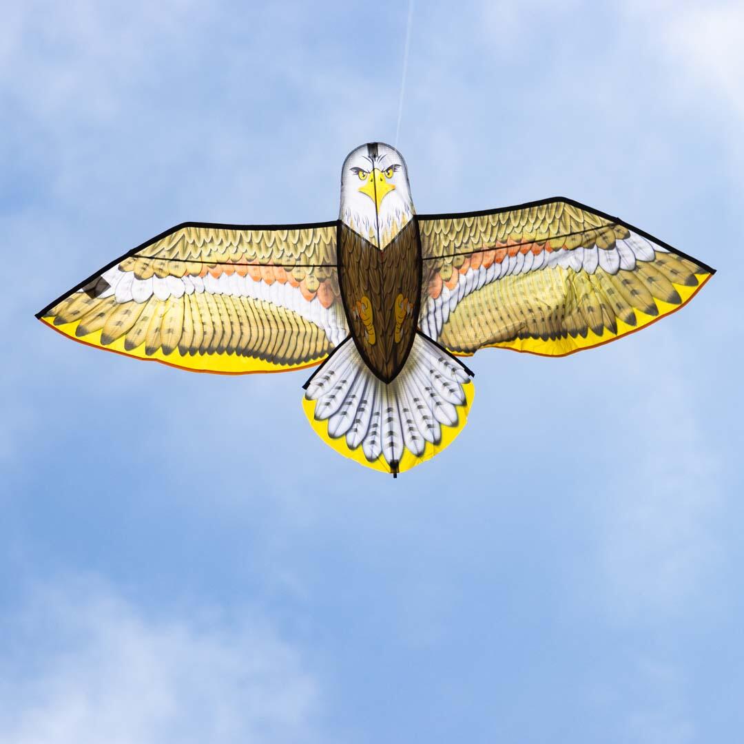Bird Kite Eagle | Adler - Kinderdrachen, 175cm, flugfertig mit 40m Schnur 4/4