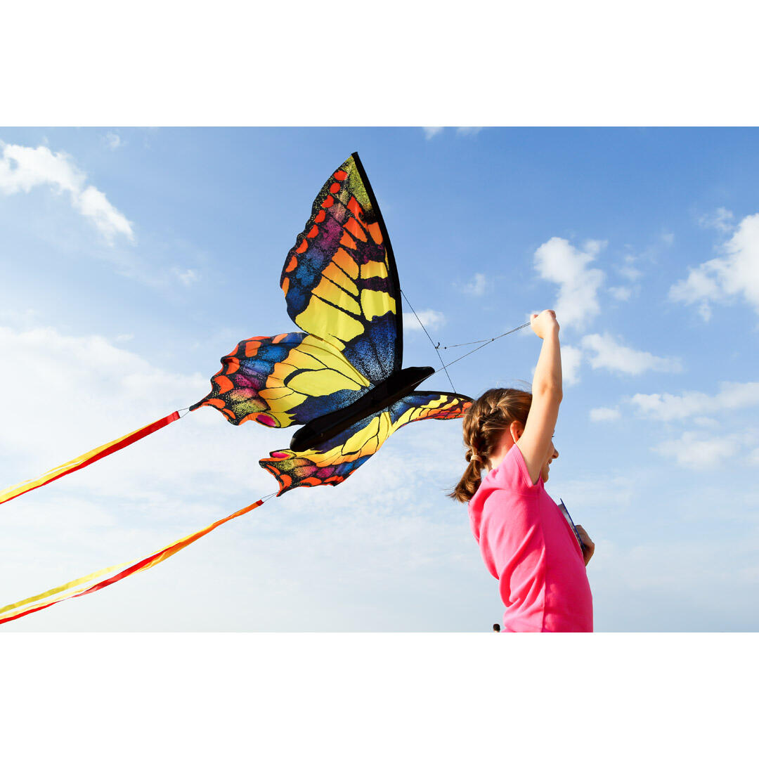 Papagaio para crianças HQ Butterfly Kite L Swallowtail 106542 Amarelo 130 x 80 c 4/6