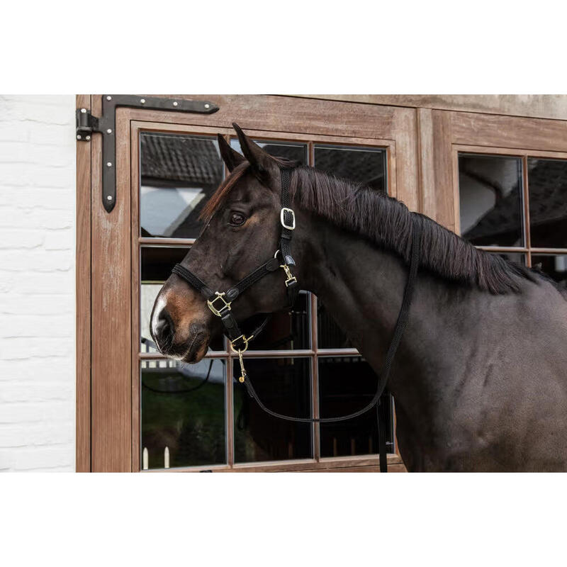 Kentucky Gevlochten Nylon Halster Oranjee -
