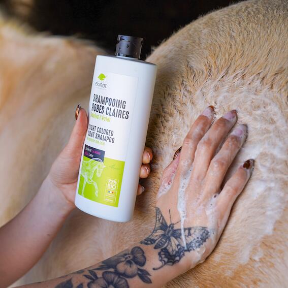 Shampooing cheval robes claires - Ekinat 2/3