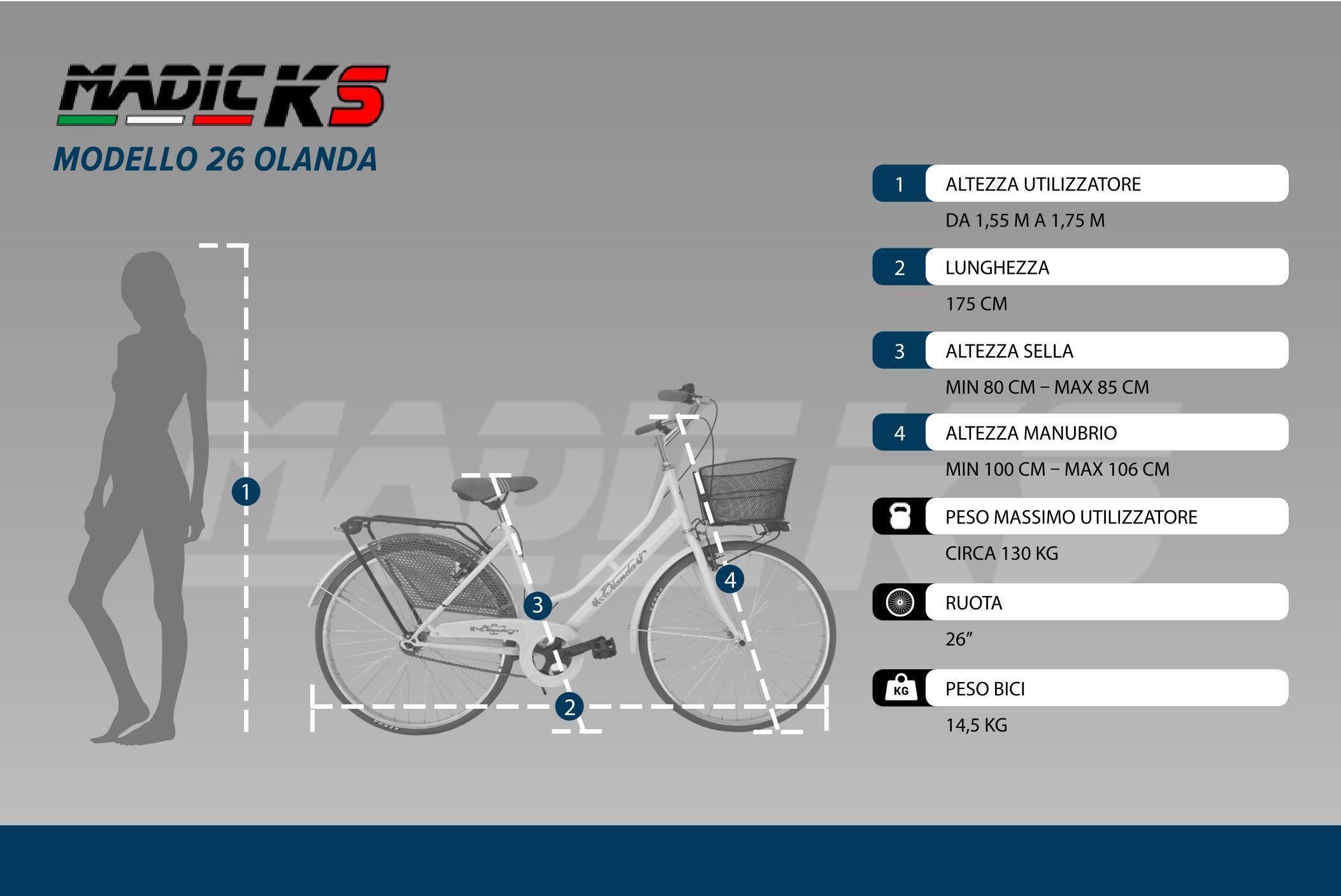 BICICLETTA DONNA DA Passeggio Misura 26 Bici Da Città Vintage Con Cestino Nera EUR 201,50 - IT