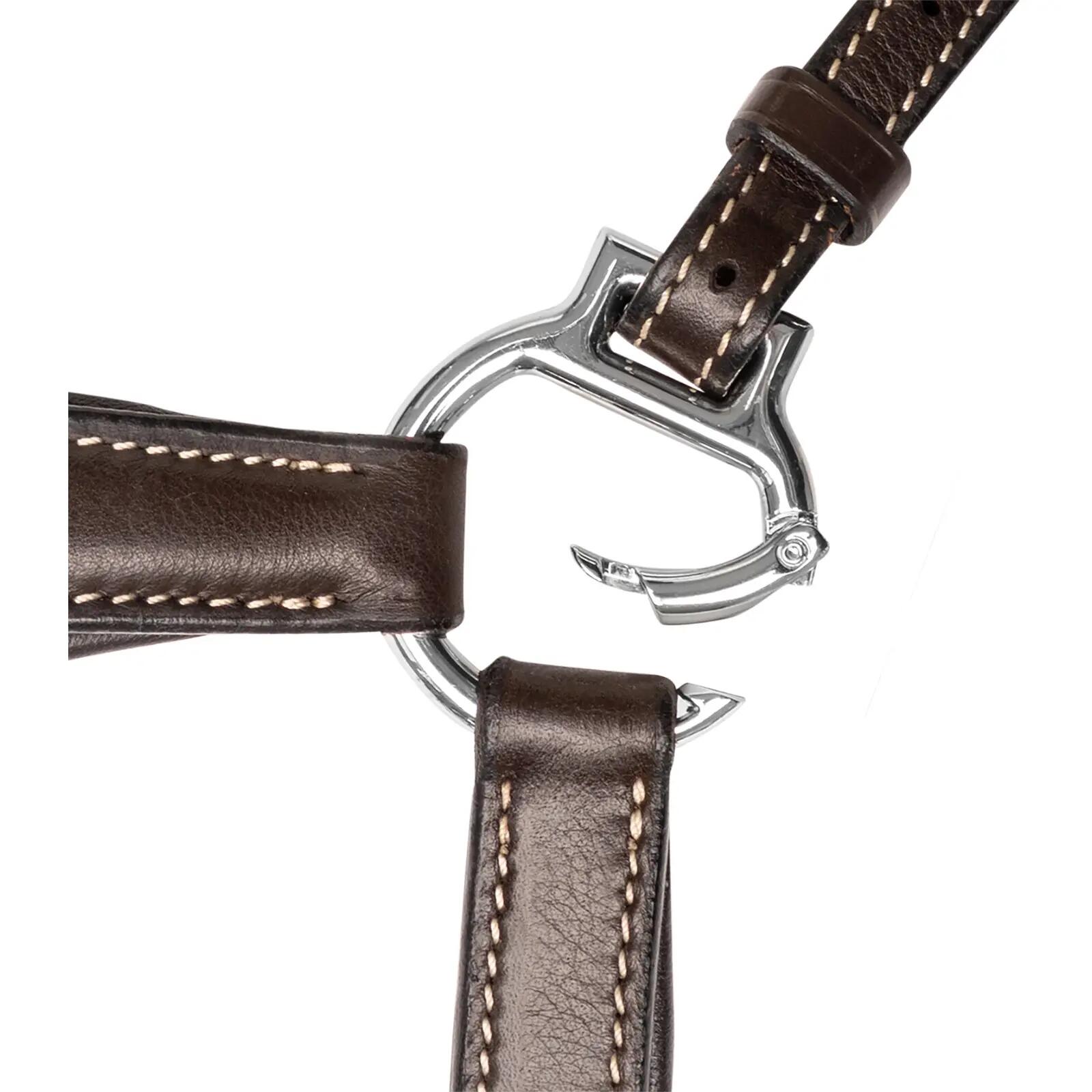 Collier de chasse pour cheval Waldhausen X-Line 2/3
