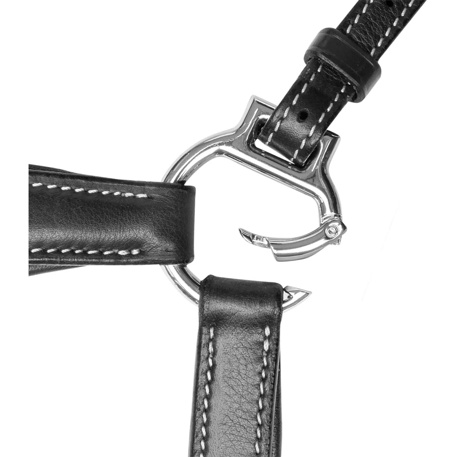 Jagdhalsband für Pferde Waldhausen X-Line 2/4