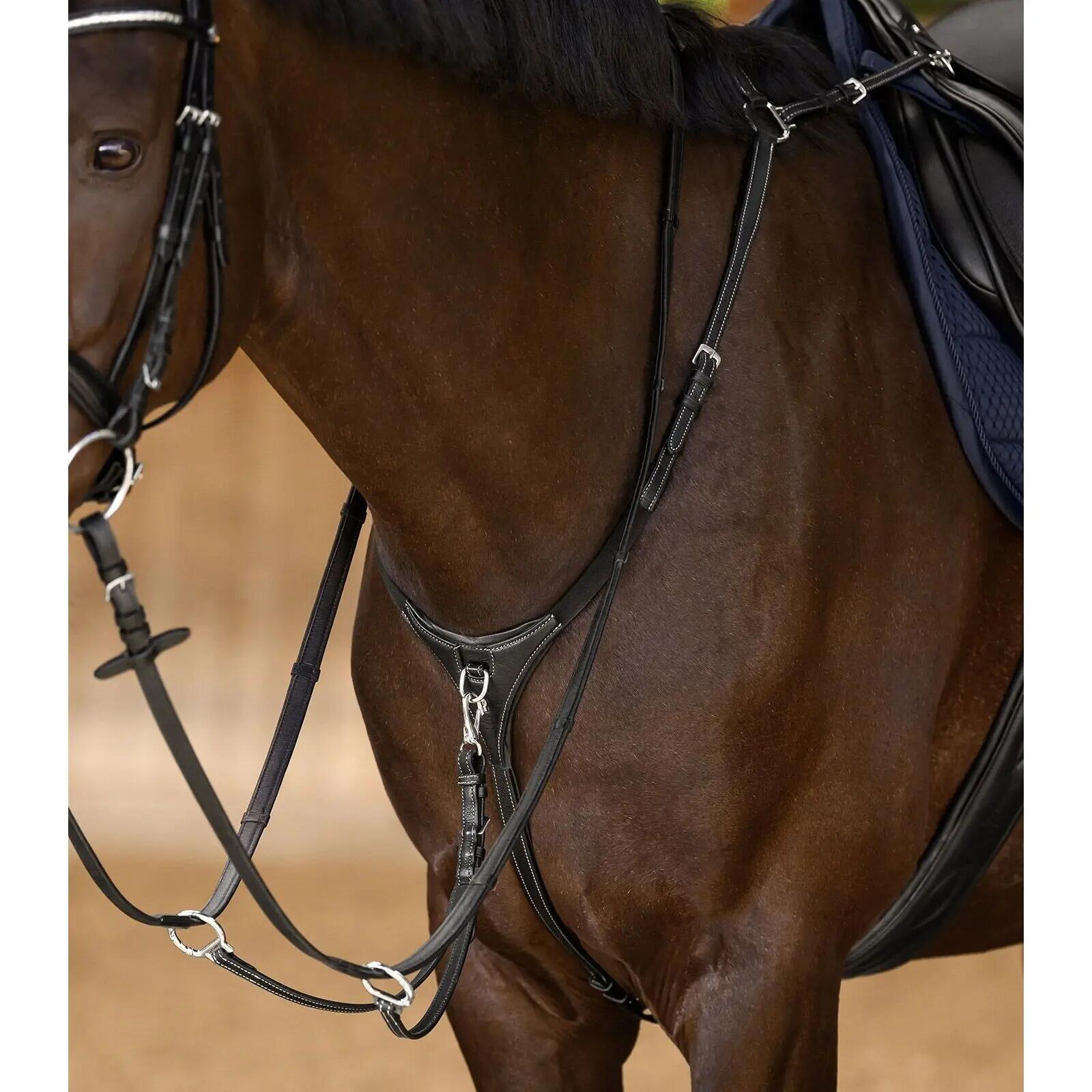 Jagdhalsband für Pferde Waldhausen X-Line 4/4