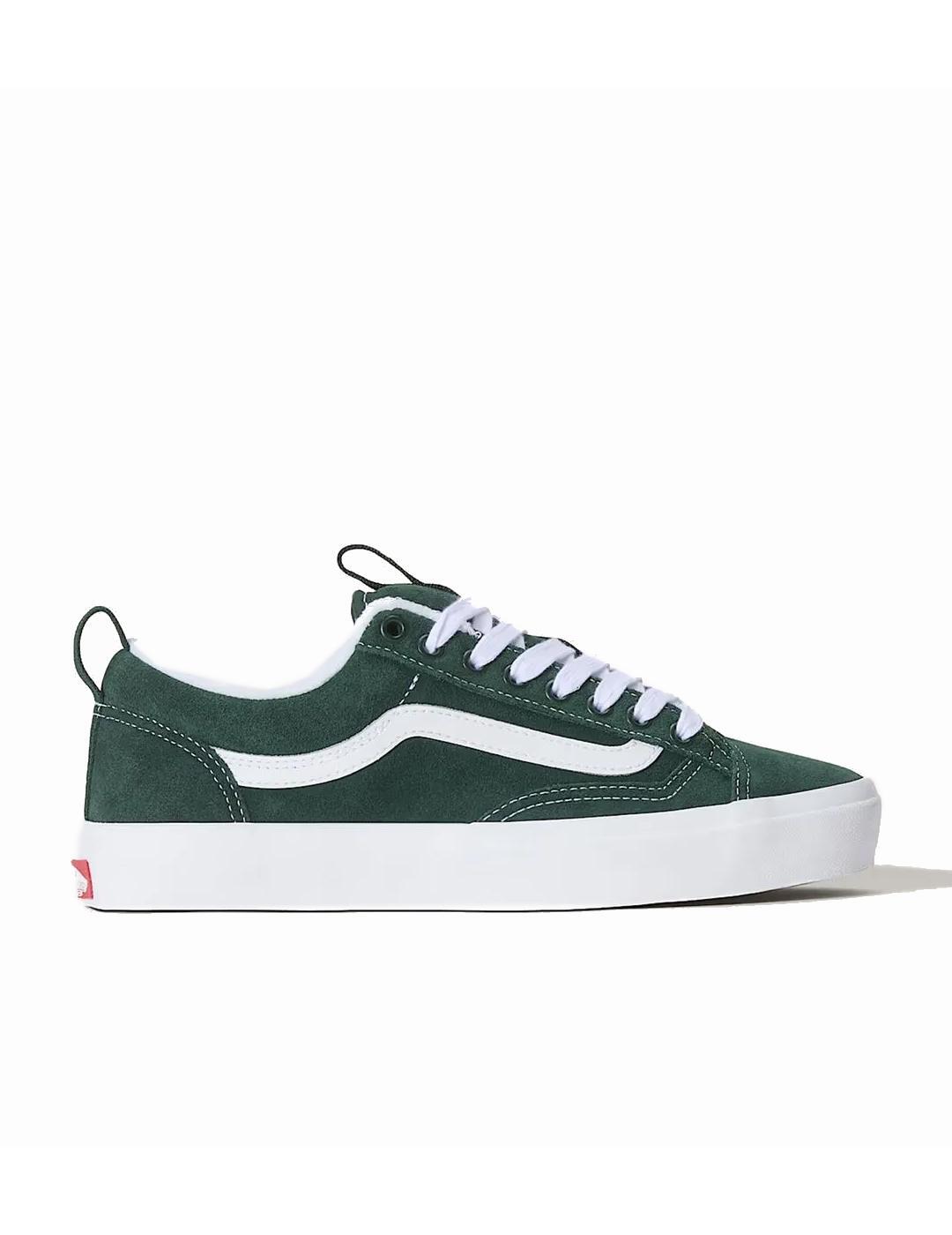 VANS picture