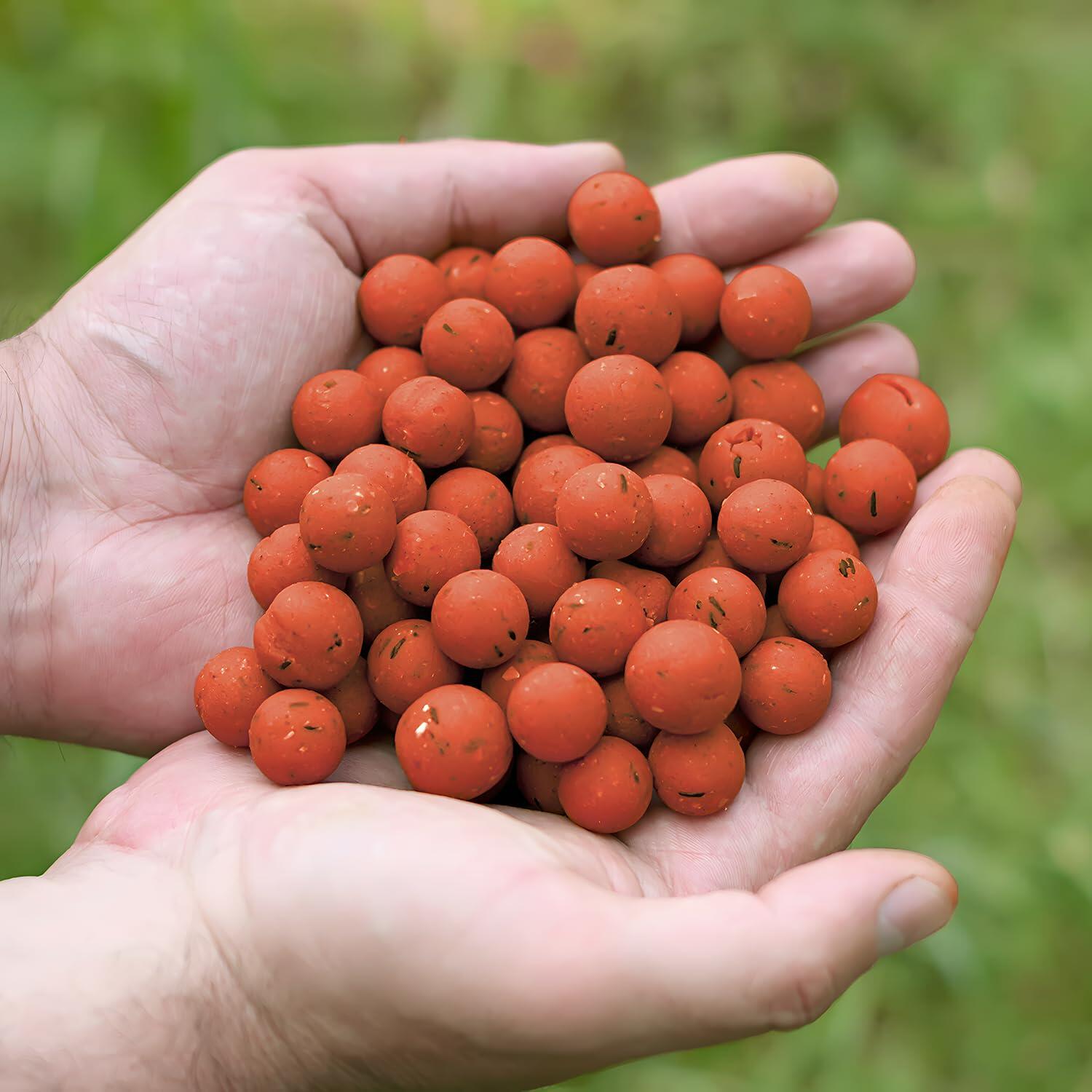 Tasty Baits Boilies Set Monster Crab Karperaas 6/6