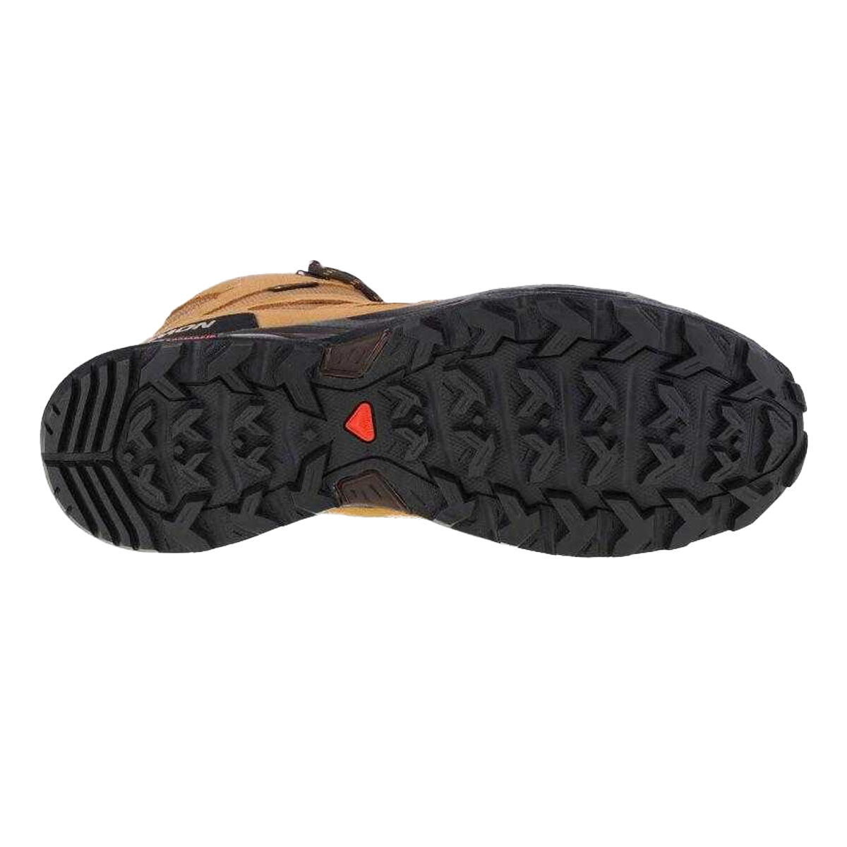 Baskets WARD Femme (Marron) 4/4