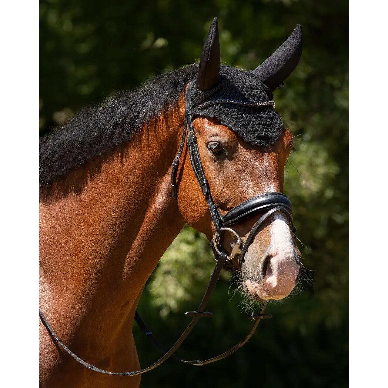 Korte paardenmuts QHP Flore 2/4