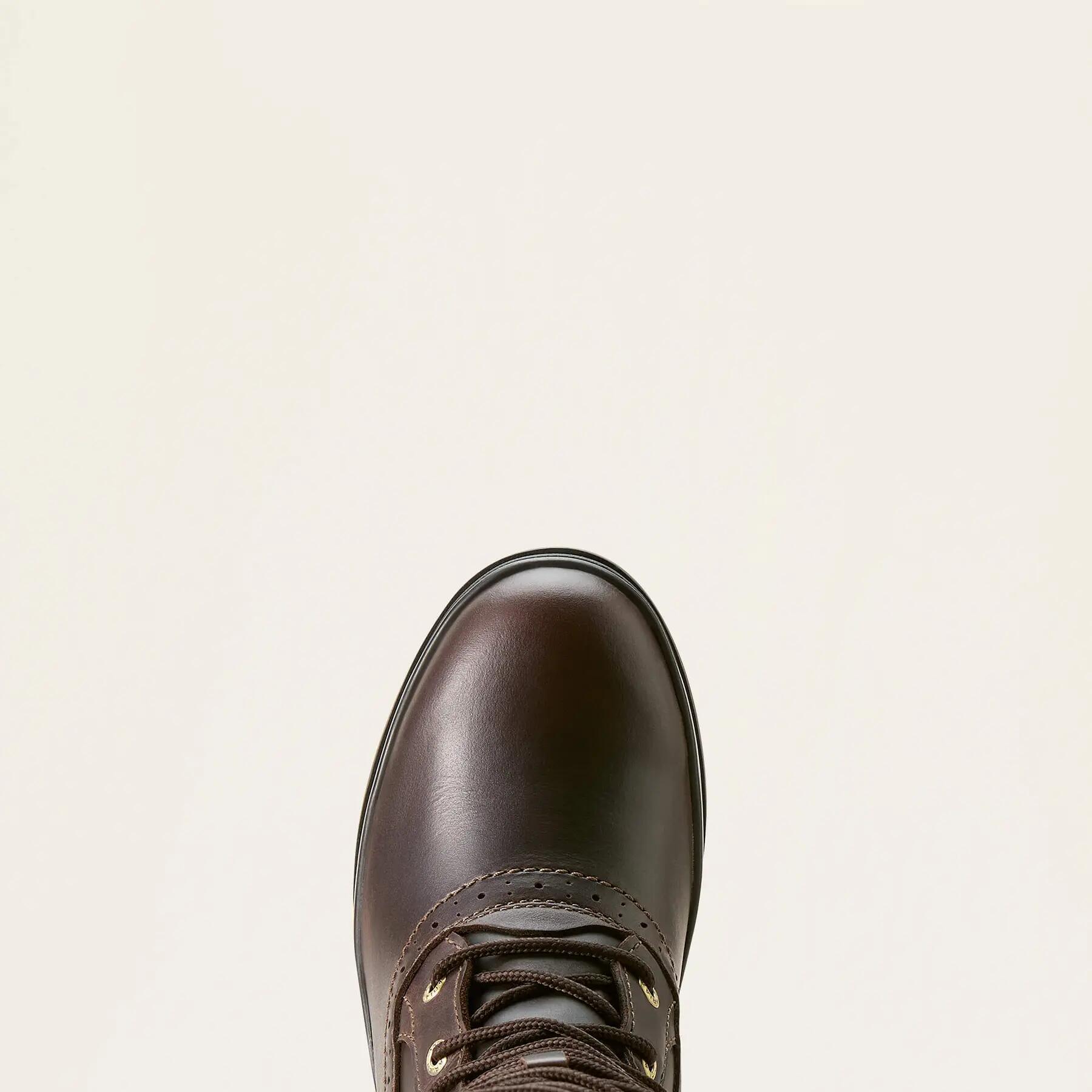 Dameslaarzen Ariat Wythburn II Sherpa 6/6