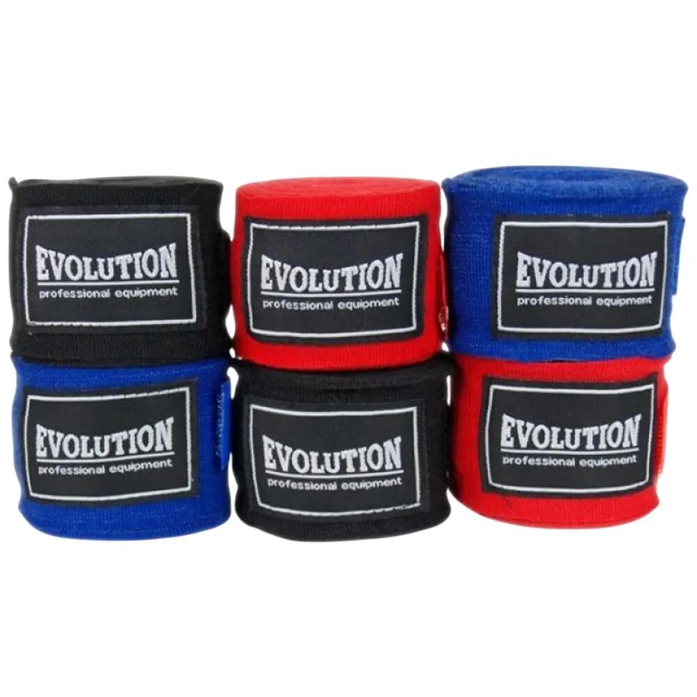 EVOLUTION picture