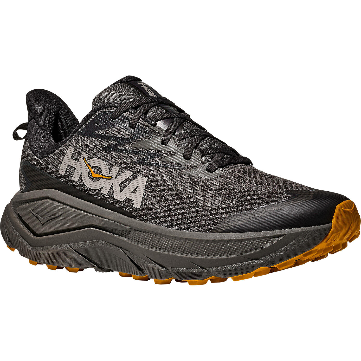 Herren Trailrunningschuhe CHALLENGER 8 GTX 7/7