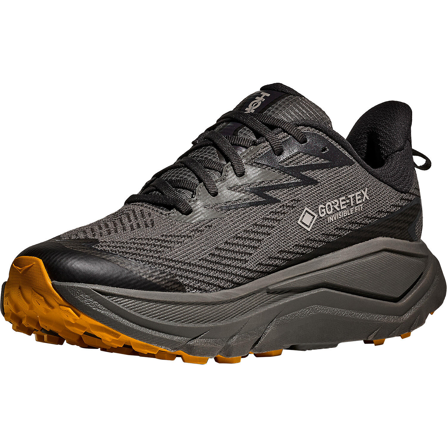 Herren Trailrunningschuhe CHALLENGER 8 GTX 4/7