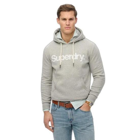 Sudadera con capucha Superdry Core Logo