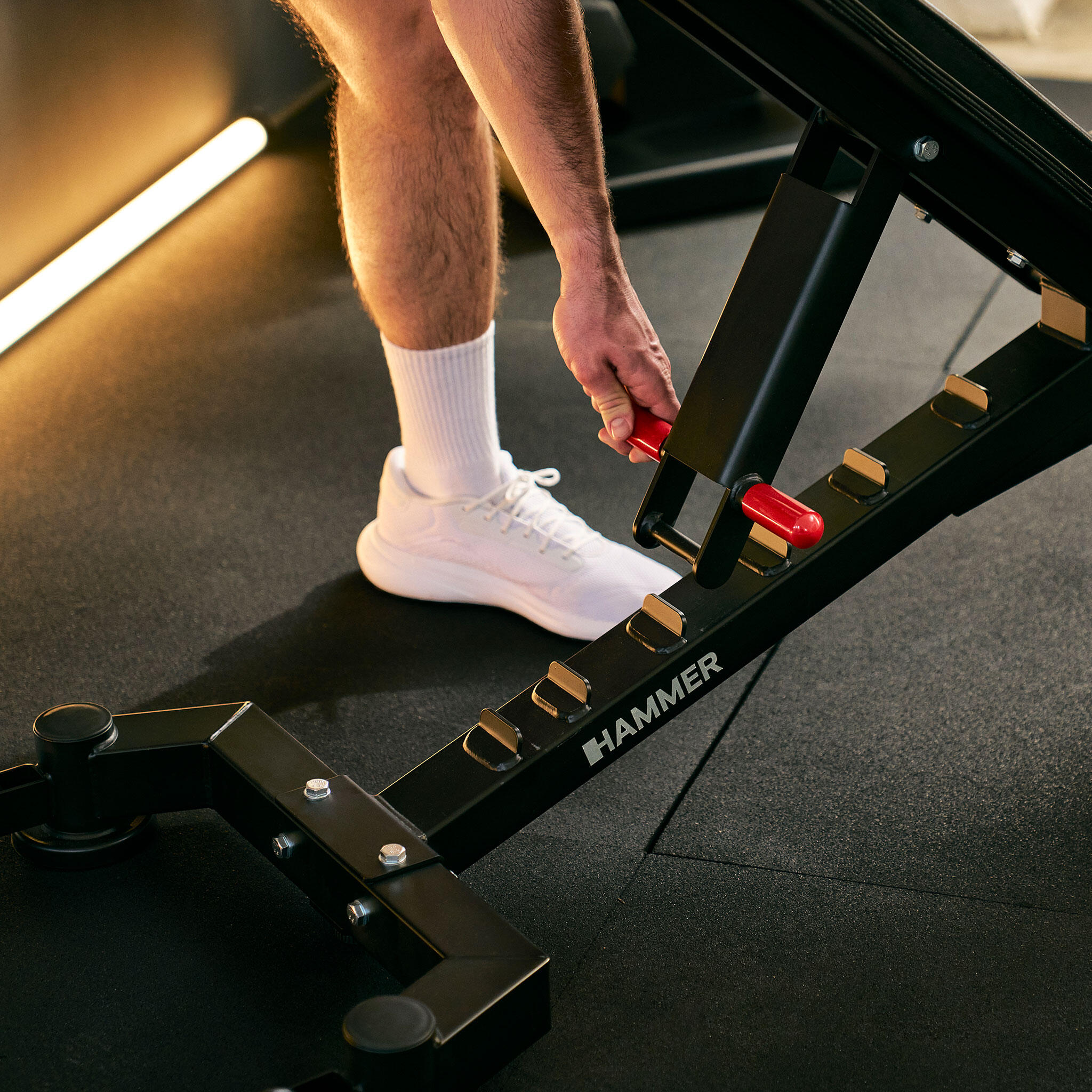 Banco de musculación 5.0 Hammer con envío incluido, montaje no incluido 3/7