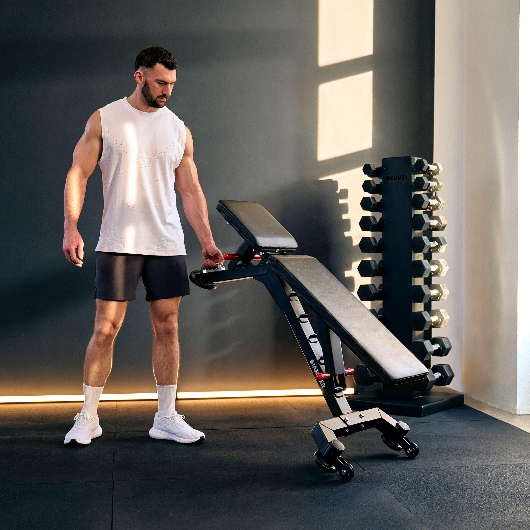 Banco de musculación 5.0 Hammer con envío incluido, montaje no incluido 7/7
