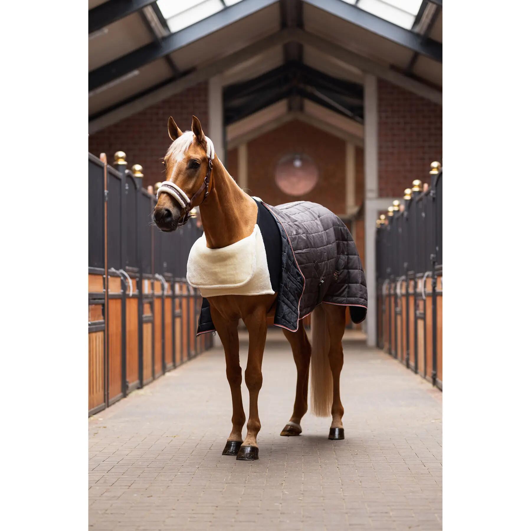 Protège-épaule pour cheval Horze Confort 2/7