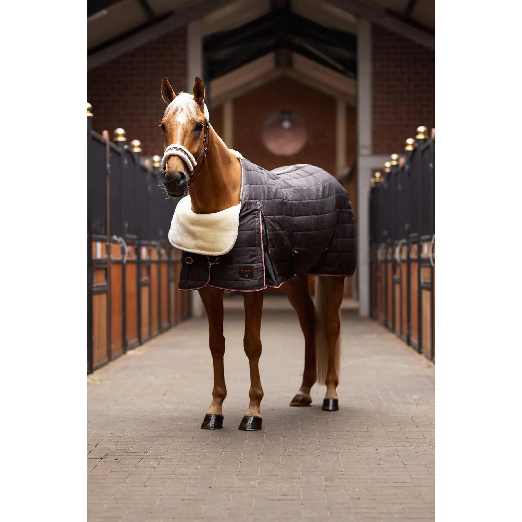Protège-épaule pour cheval Horze Confort 4/7