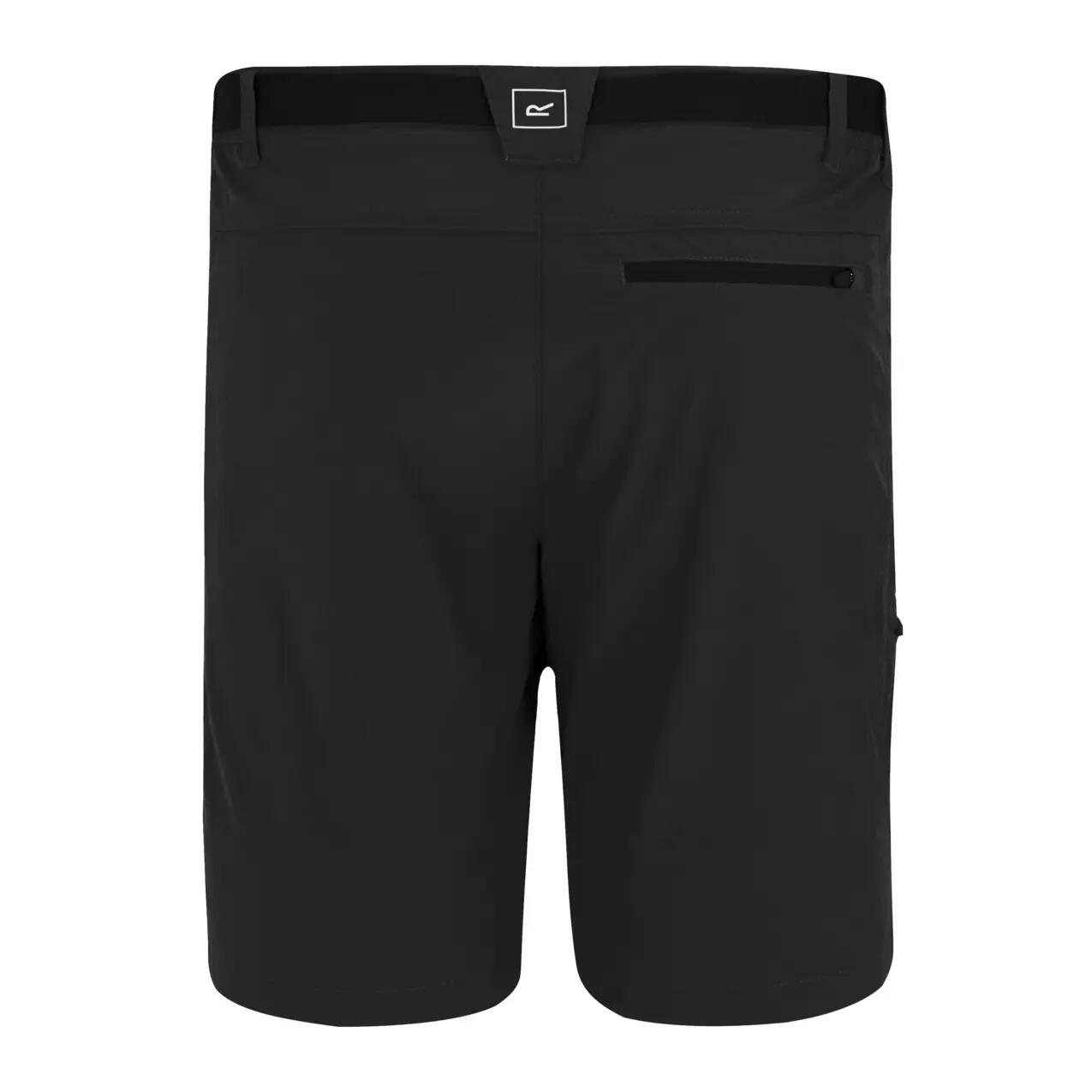 Shorts Regatta Xert Stretch 2/4