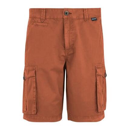 Short cargo Regatta Shorebay II