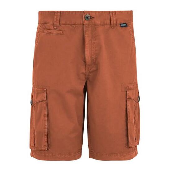 Short cargo Regatta Shorebay II