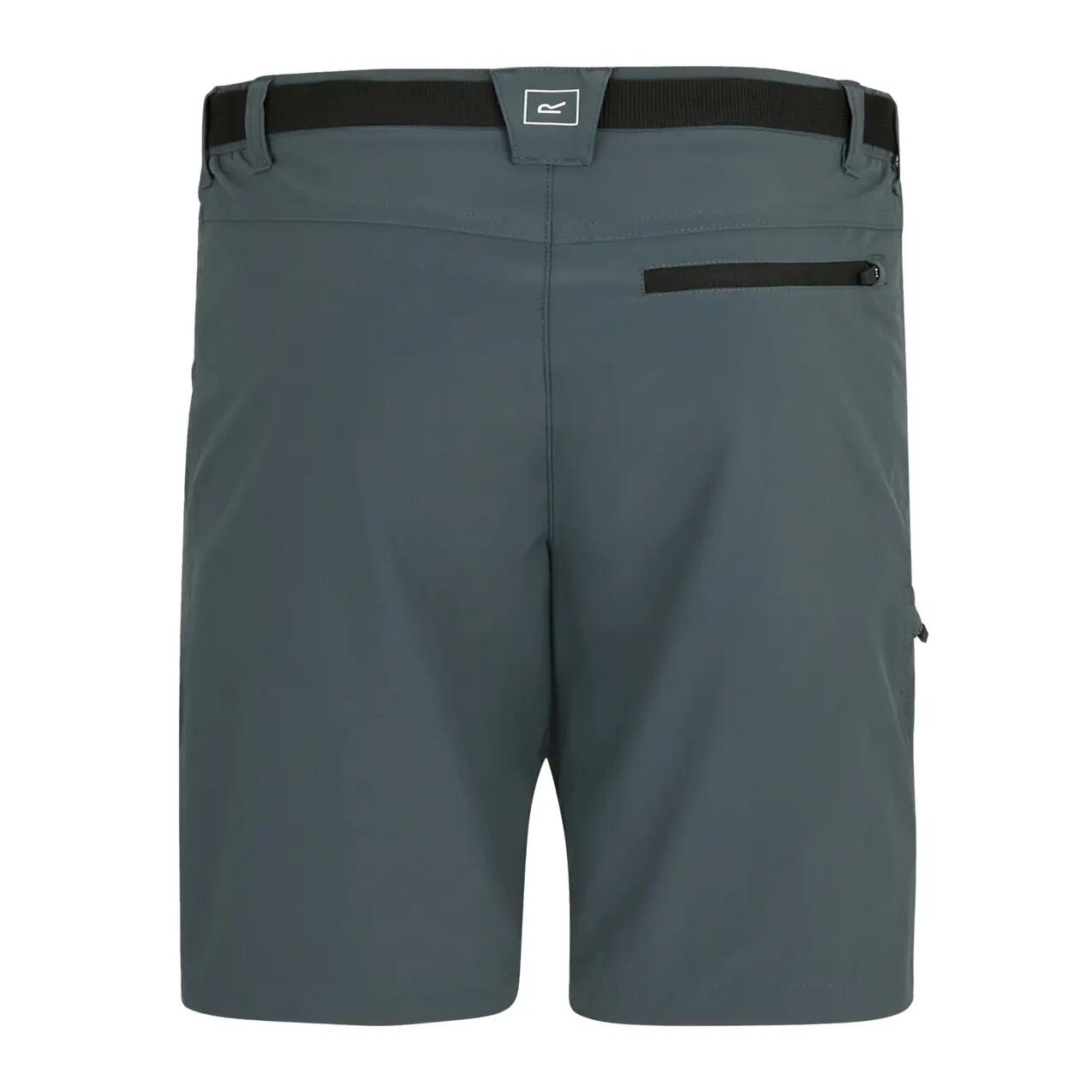 Shorts Regatta Xert Stretch 2/4