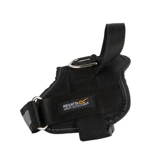 Reflektierendes Hundegeschirr Regatta