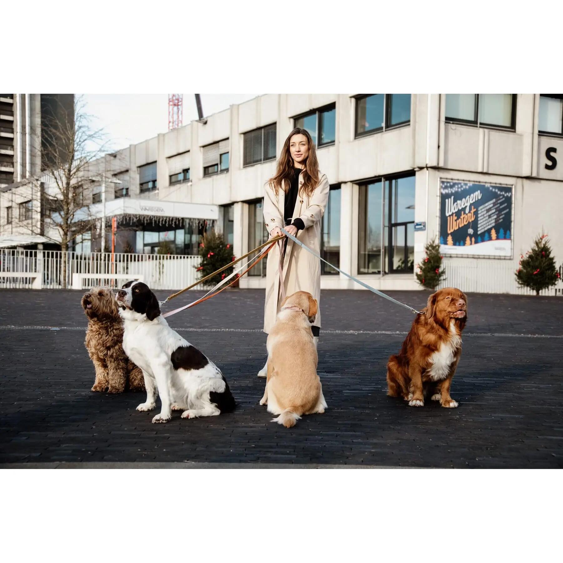 Guinzaglio per cane Kentucky Velvet 200 cm 3/5