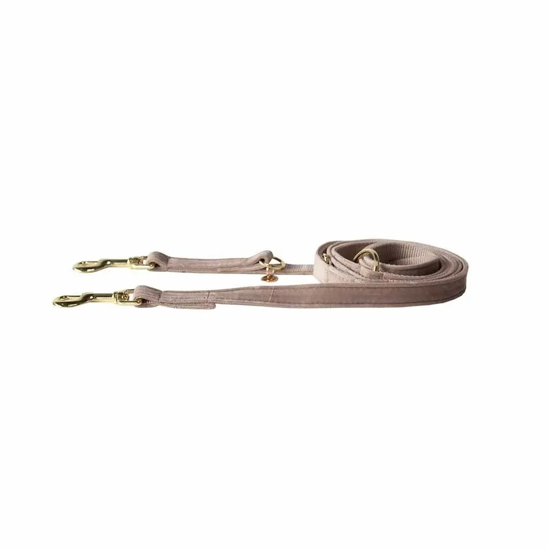 Guinzaglio per cane Kentucky Velvet 200 cm 2/5