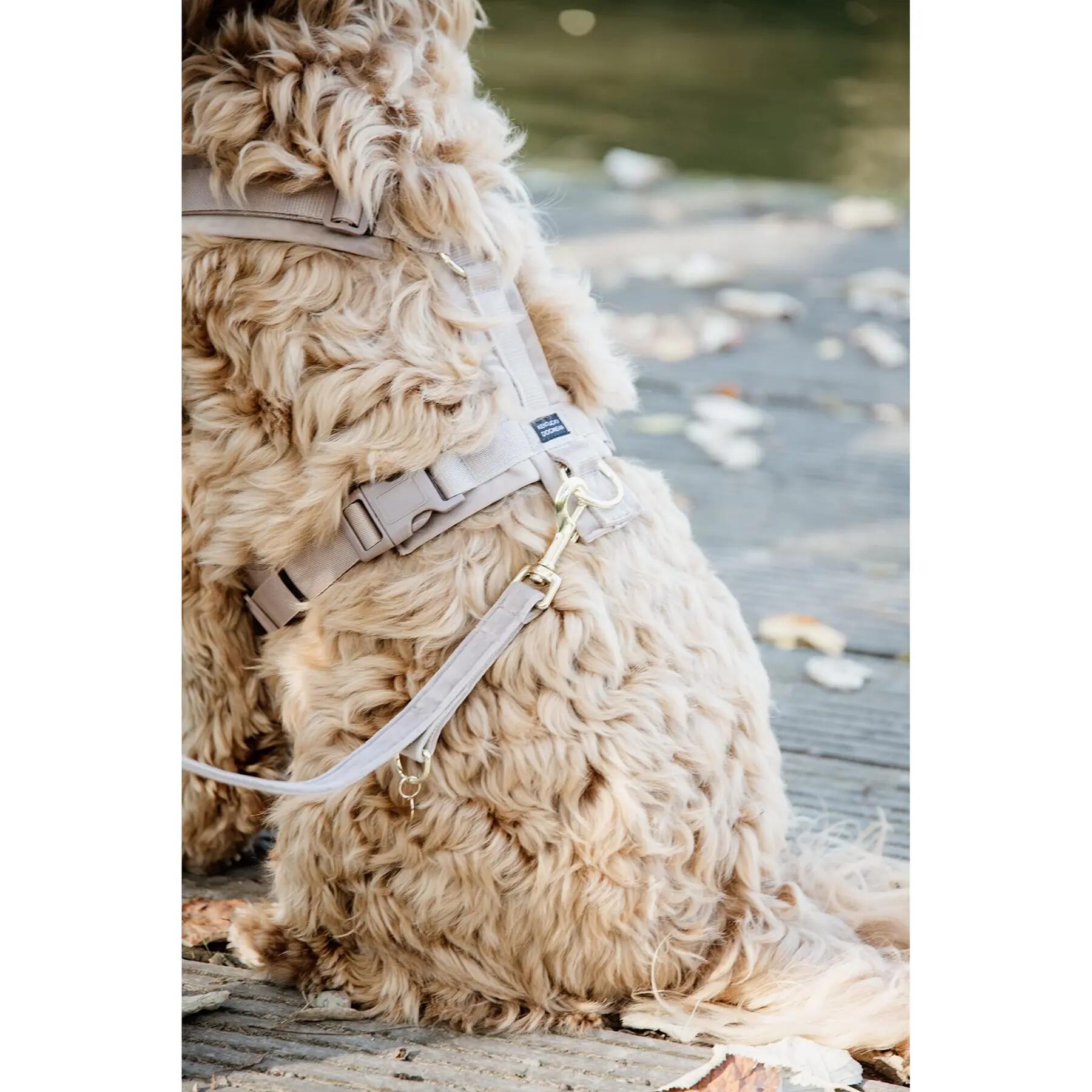 Guinzaglio per cane Kentucky Velvet 200 cm 4/5