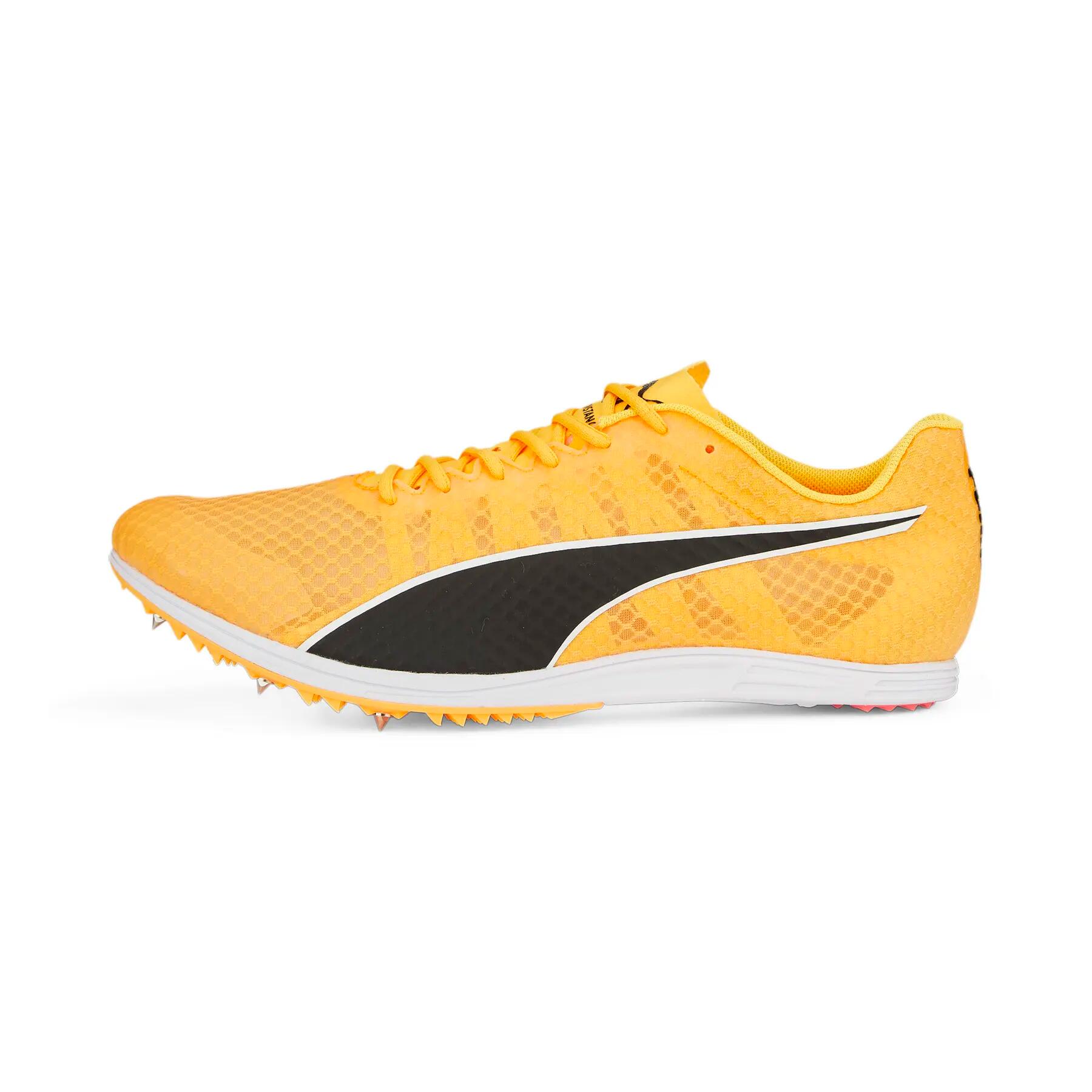 PUMA picture
