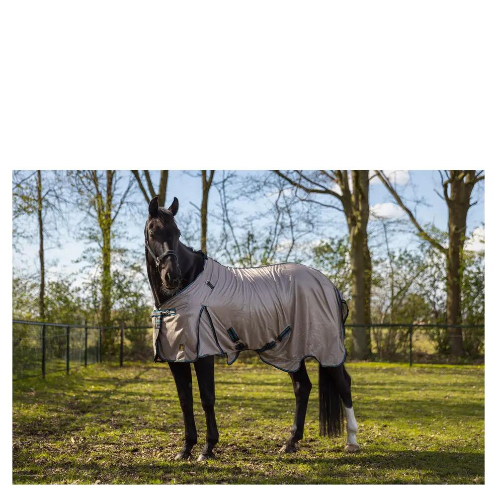 Chemise anti-mouches et couvre-cou pour cheval BR Equitation Combo Classic 3/4