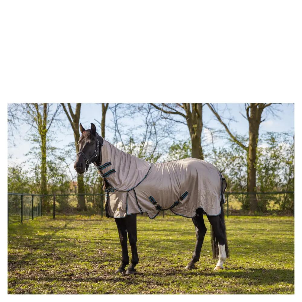 Chemise anti-mouches et couvre-cou pour cheval BR Equitation Combo Classic 2/4