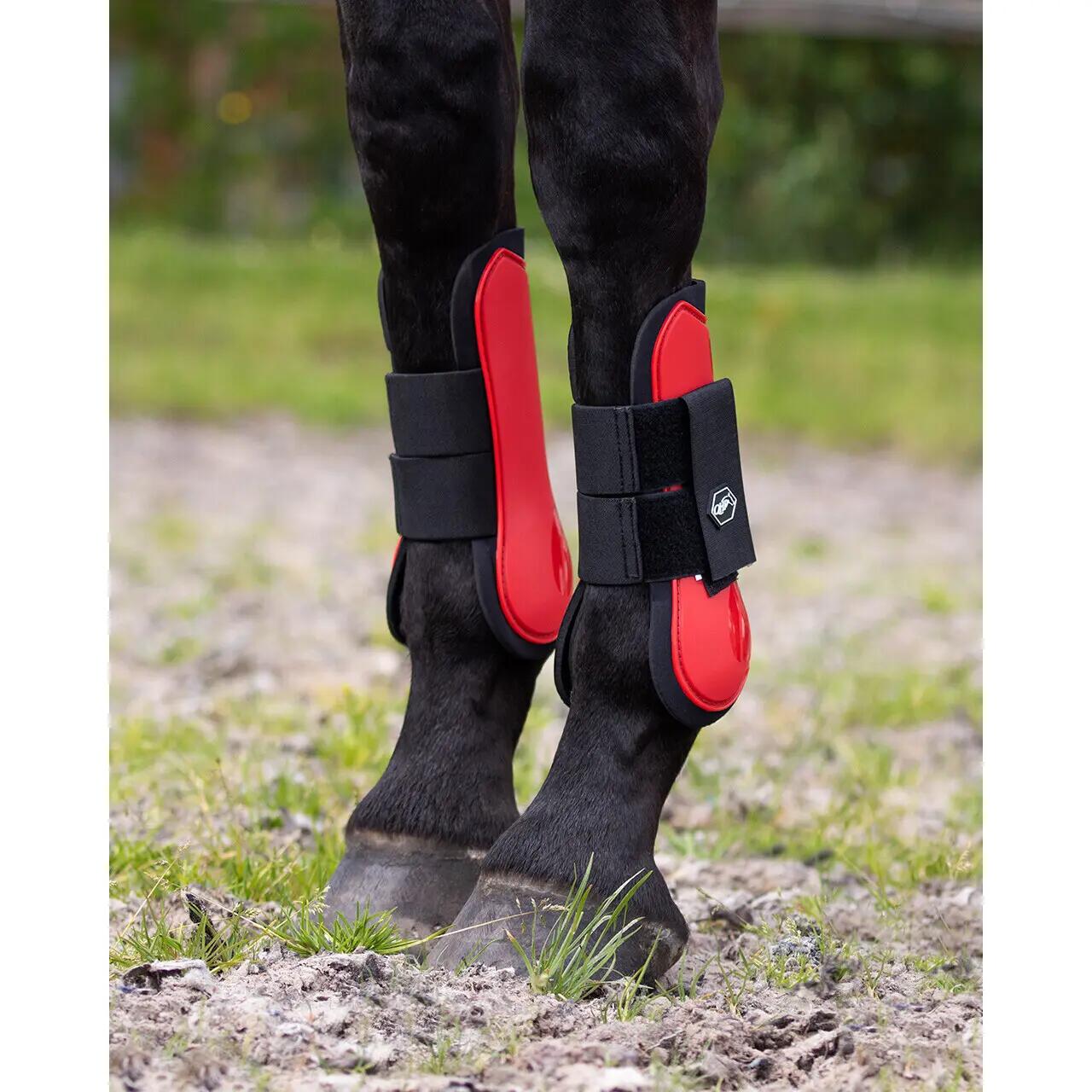Front gaiters for open horses QHP 2/2
