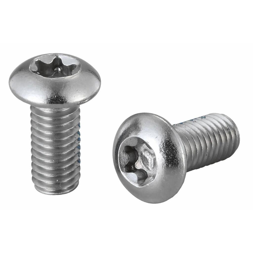 Brake disc screws Elvedes (x100)