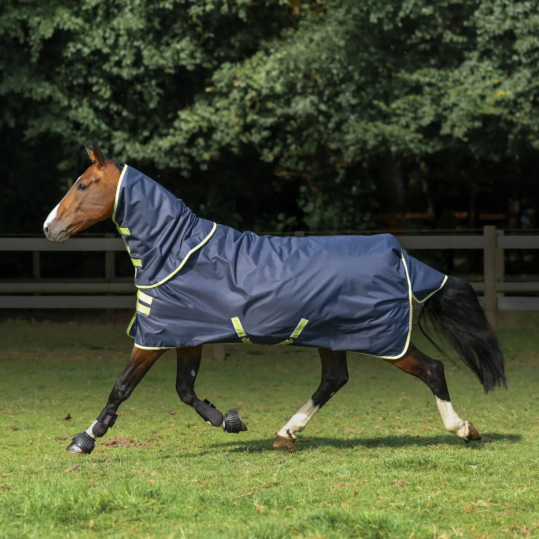 Manta para cavalo ao ar livre com cobertura de pescoço Bucas Oasis Turnout 200g 3/3