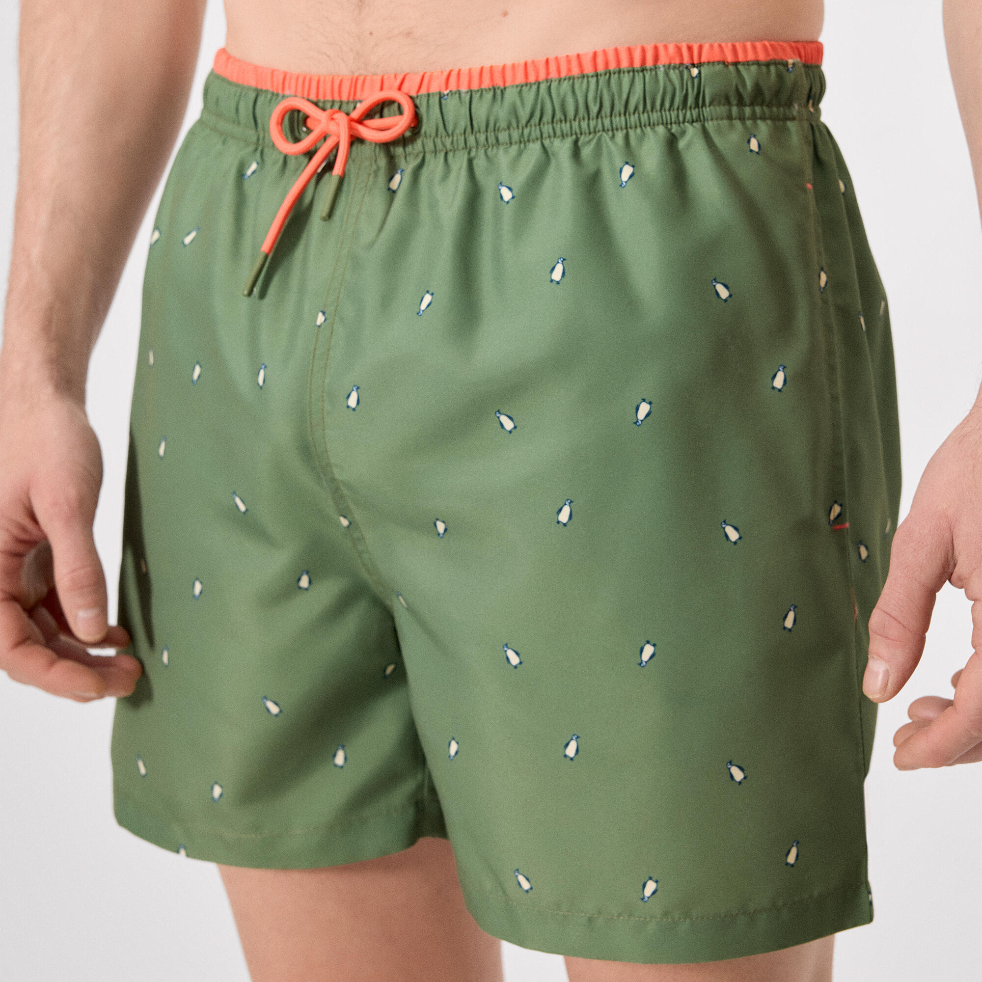 Bañador medio estampado pingüinos verde 5/5