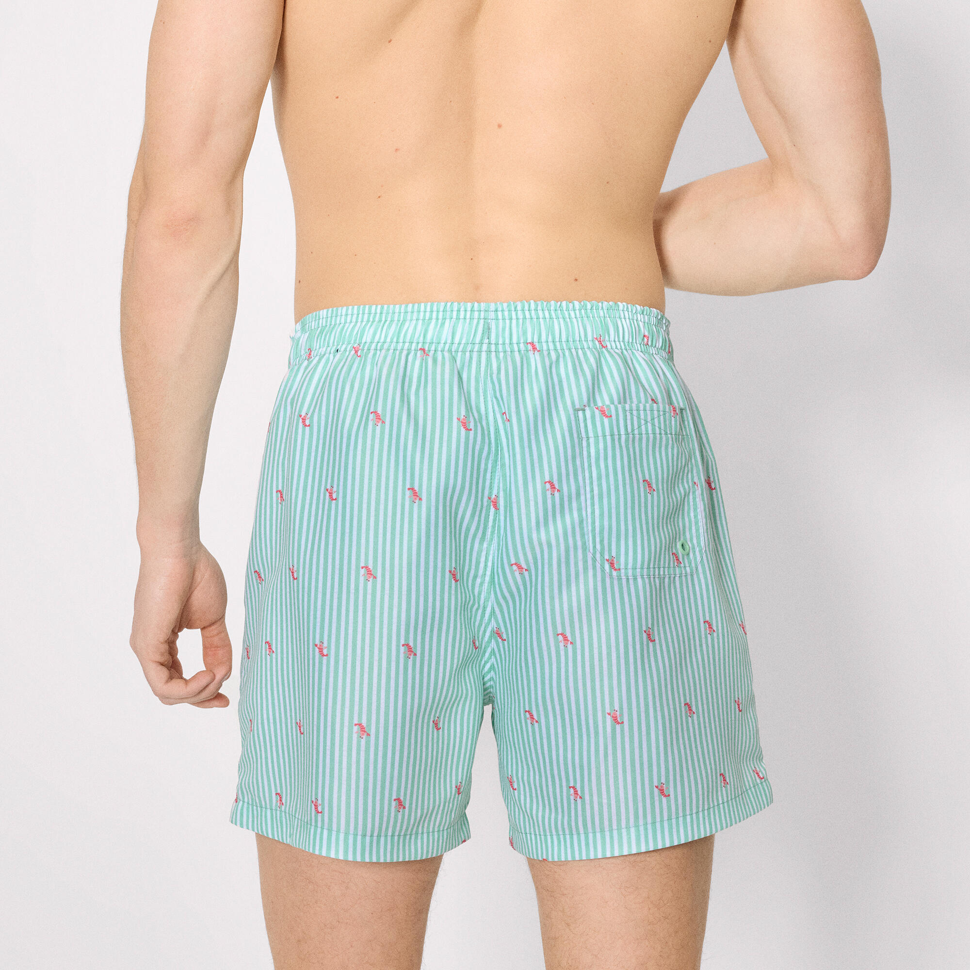 Bañador medio estampado rayas y mini langostas verde 2/4