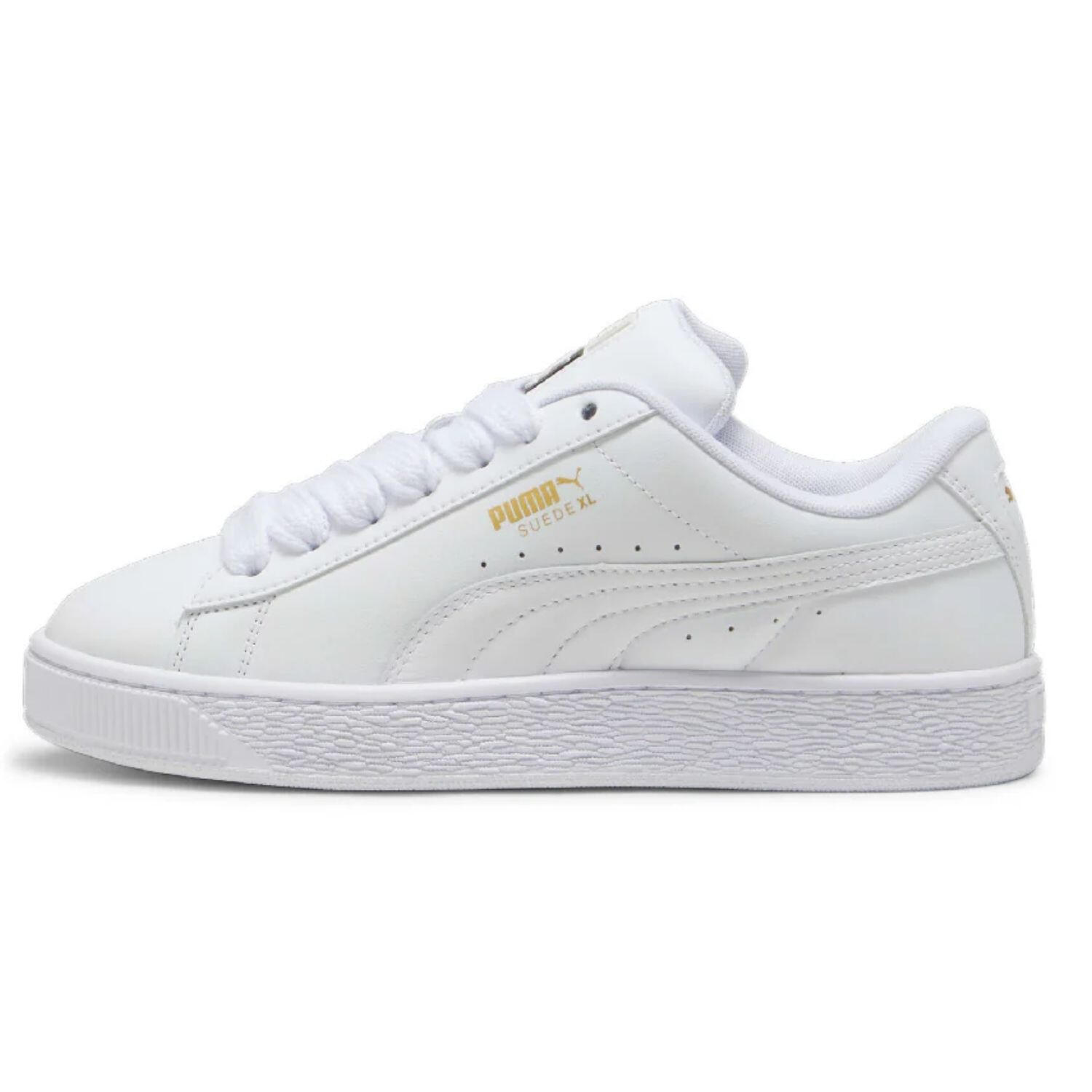 PUMA picture