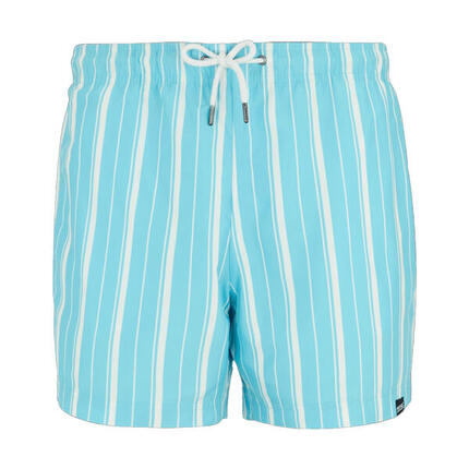Heren Loras gestreepte zwembroek (Scandinavisch blauw/wit)