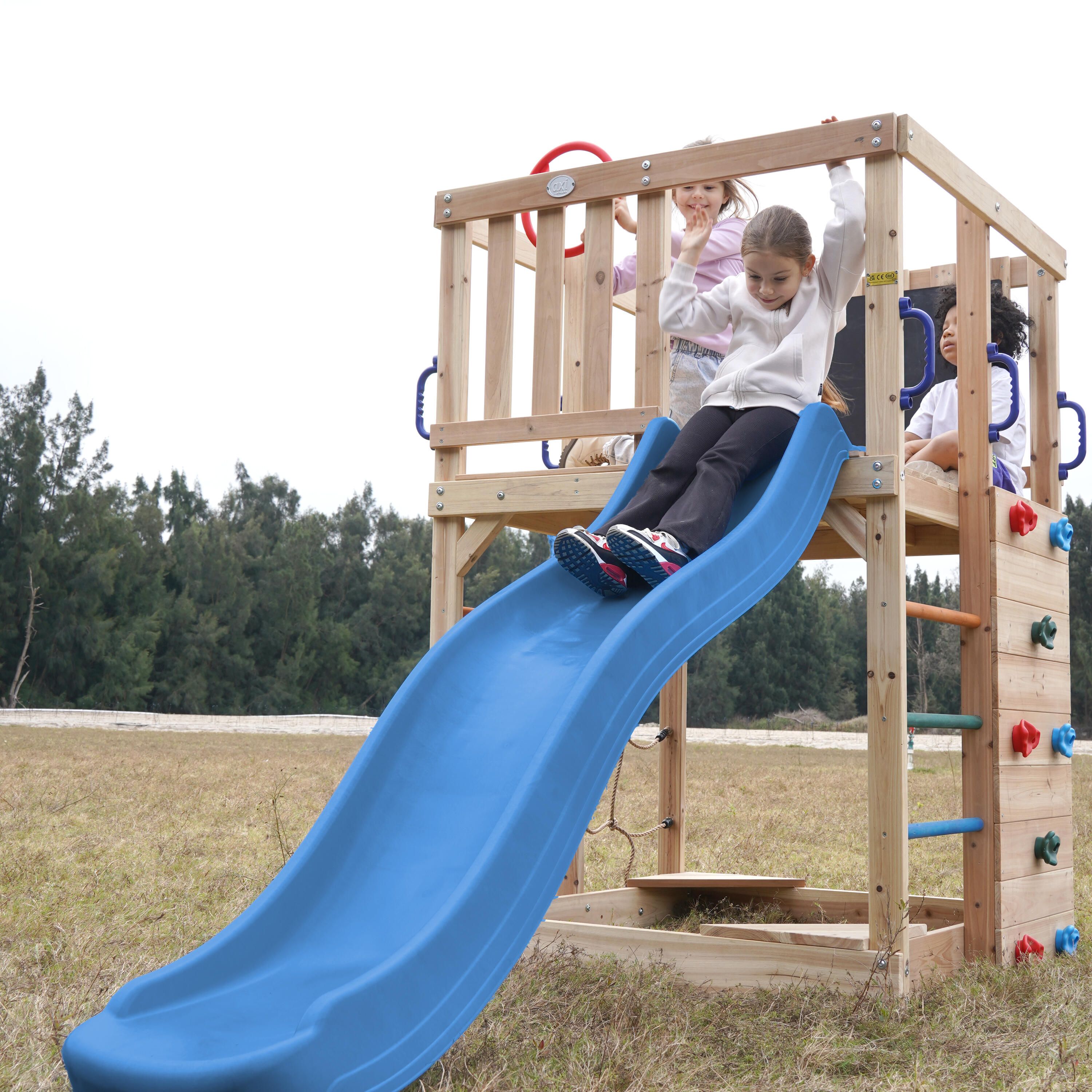 Aire de Jeux - Structure d'escalade, AXI Sam, Toboggan Bleu 3/7