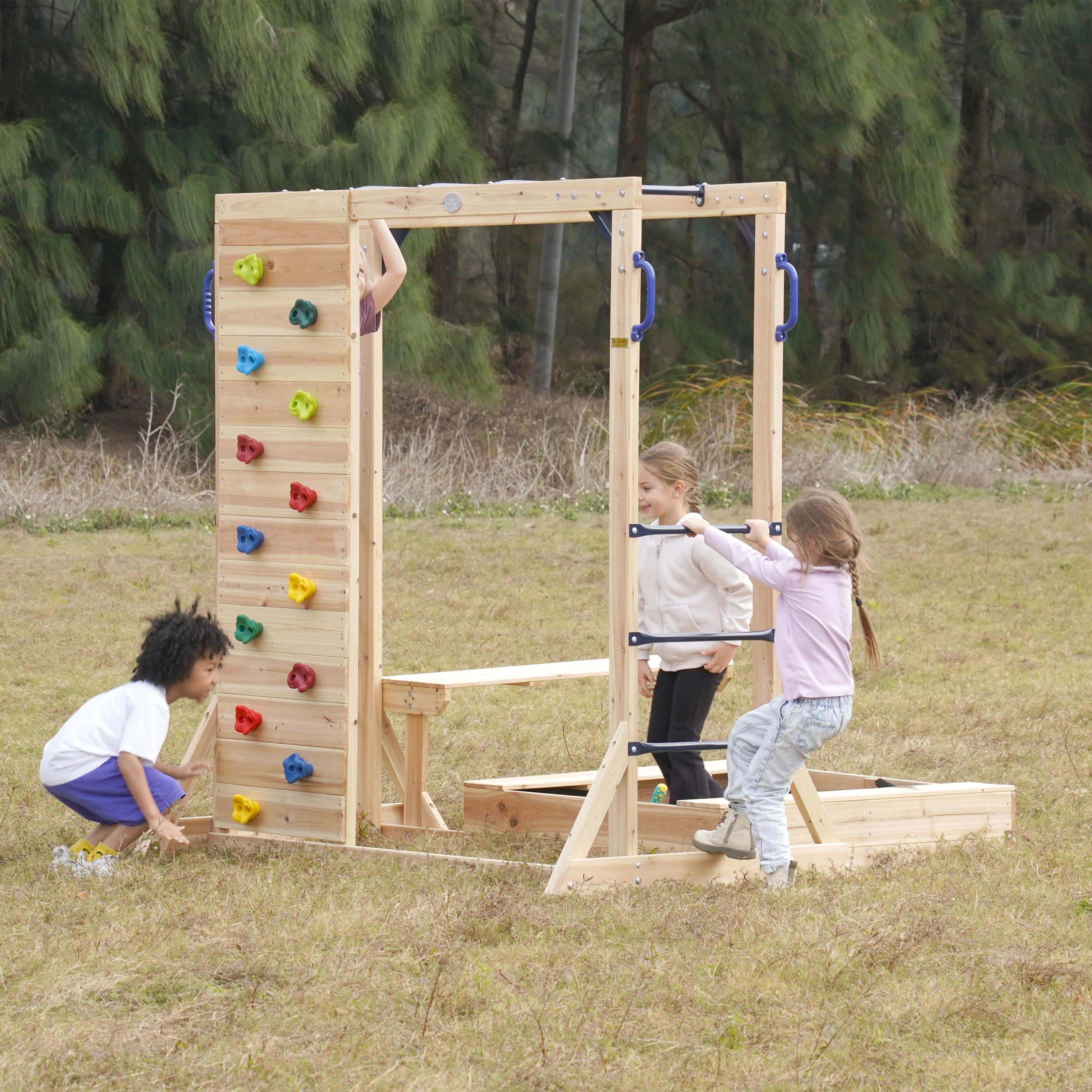 Aire de Jeux - AXI Dex - Structure d'Escalade - 200 x 195 x 199 cm 3/7