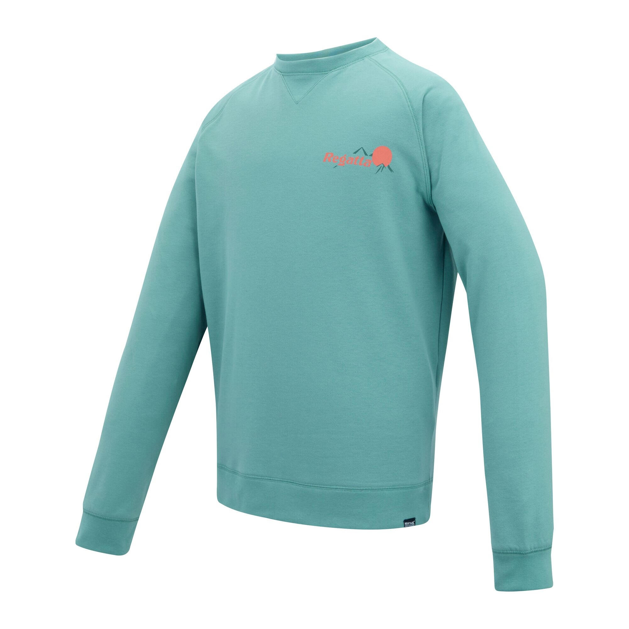 Sweat Motif/style Imprimé Au Dos NITHSDALE Homme (Vert Arctique) 3/5