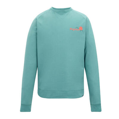 Heren nithsdale rug sweatshirt met print (arctisch groen)