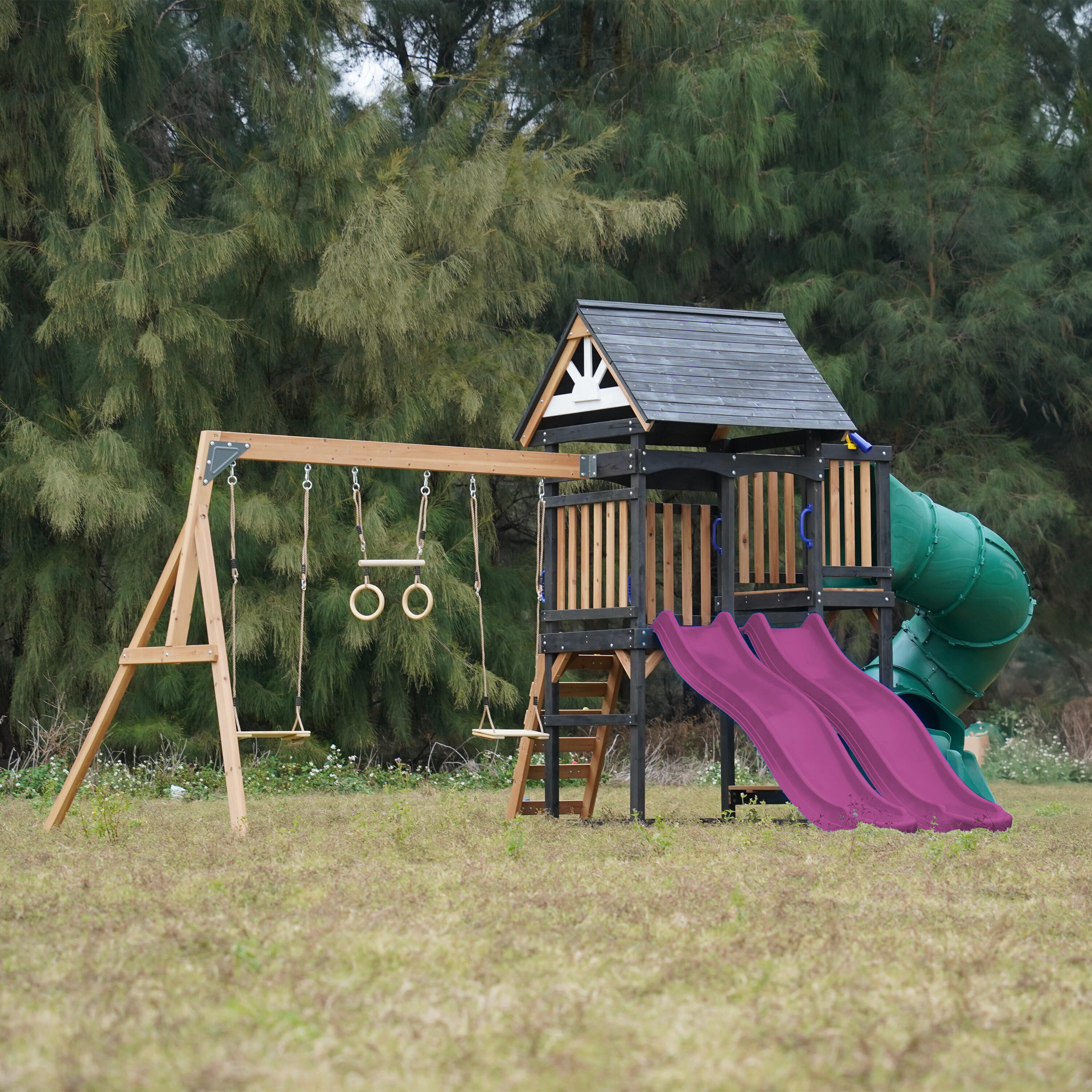 Aire de Jeux - AXI Cody - 2 Balançoires, Toboggan Tubulaire - Violet 4/7