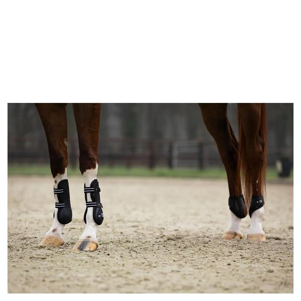 Horseshoe protectors BR Equitation XO2 3/7